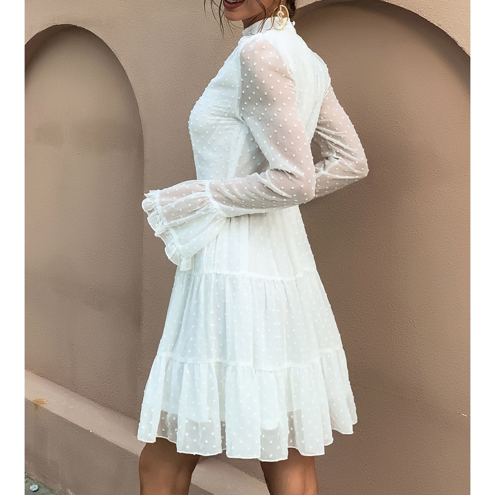 White Swiss Dot Ruffle Hem Fit & Flare Party Dress - Picture 6 of 8